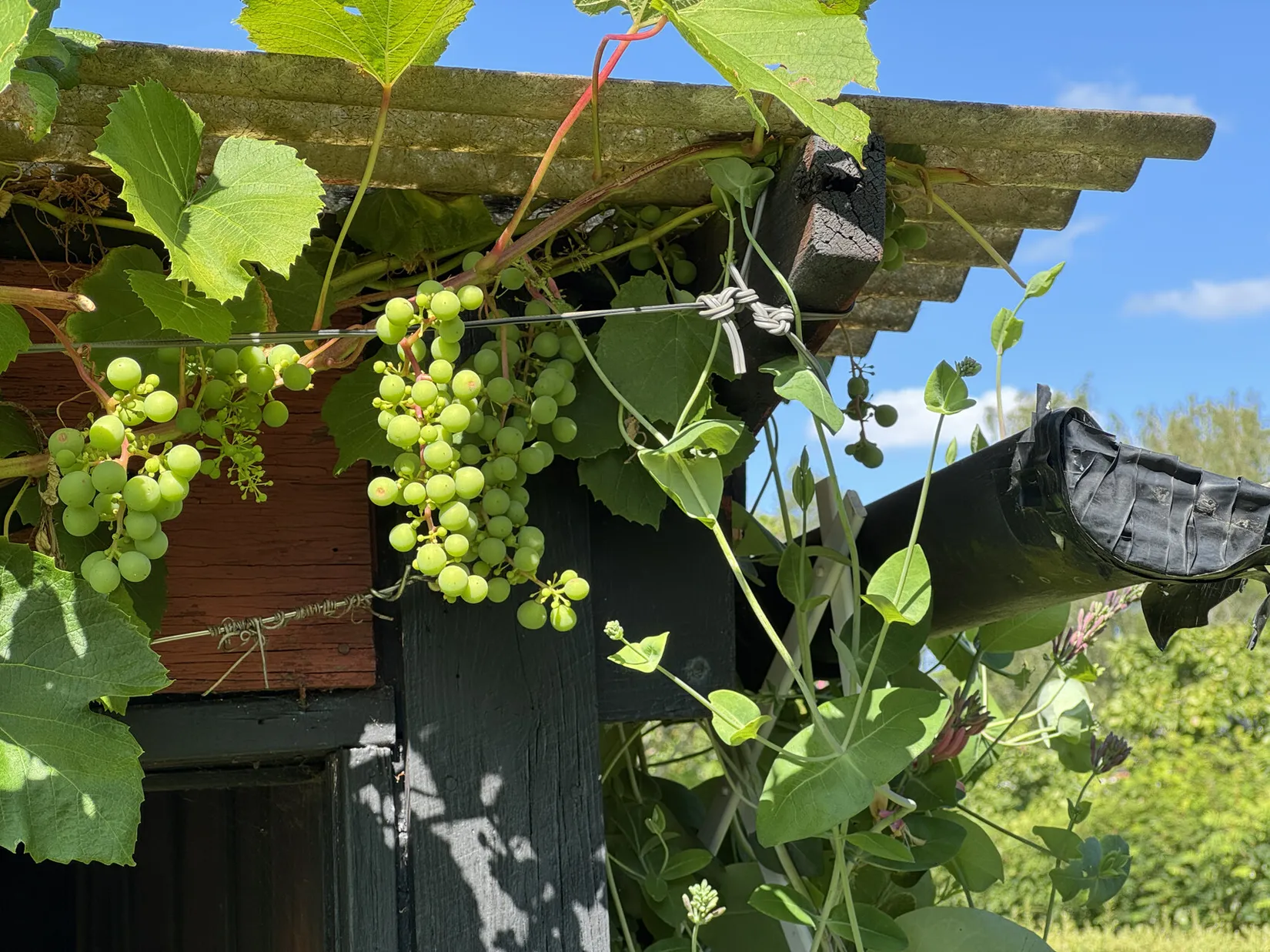 Fritidshus, Femte kolonistigen 2, Hälla, Västerås