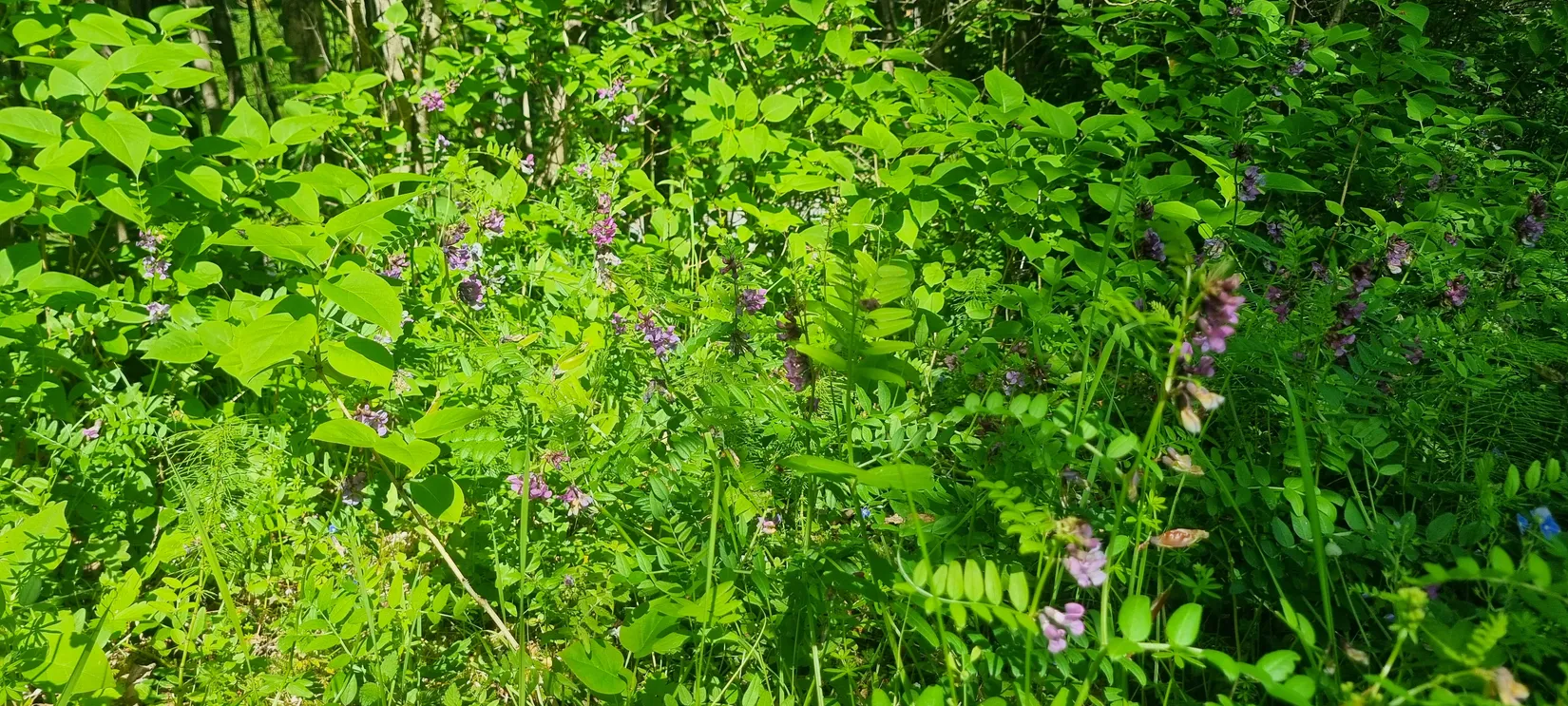 Villa, Gulleråsen Gamla Landsvägen 15, Gulleråsen, Rättvik