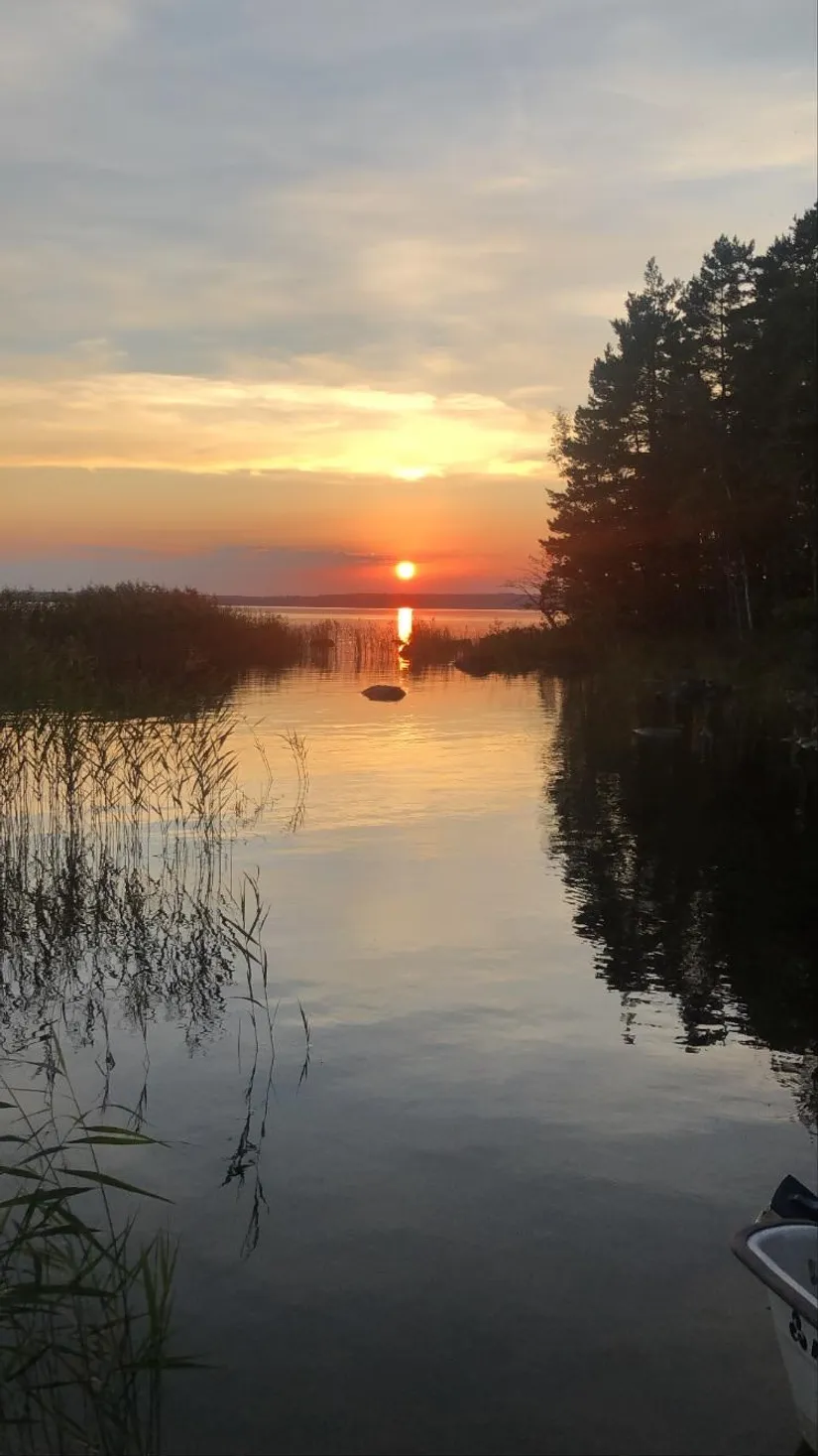 Gård/Skog, Gisslenäs 820, Åtorp, Degerfors