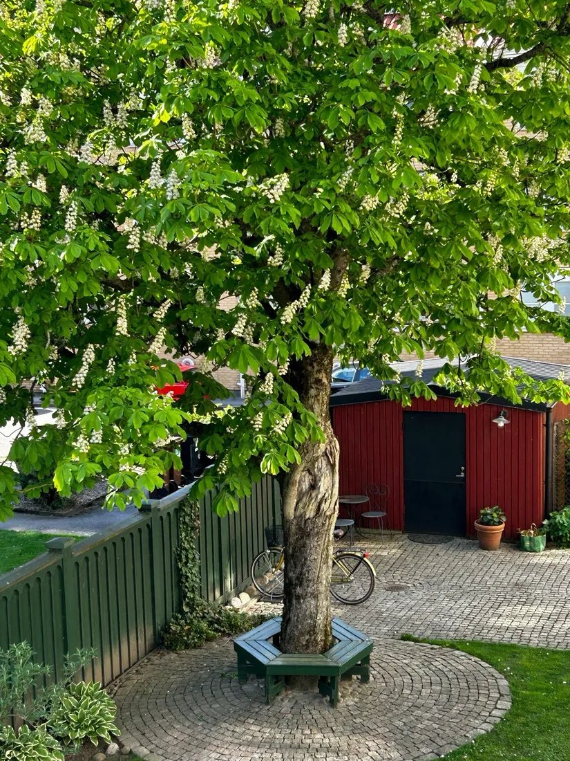 Bostadsrätt, Berzeliigatan 5, Lugnet, Borås