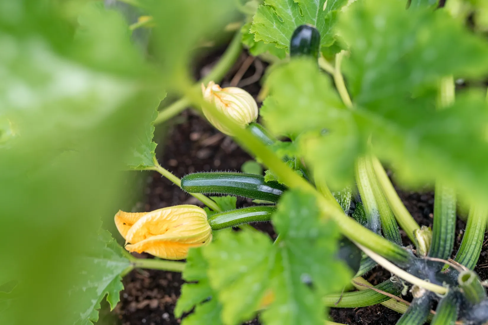 Fritidshus, Kolmilevägen 5, Leken, Lekeberg