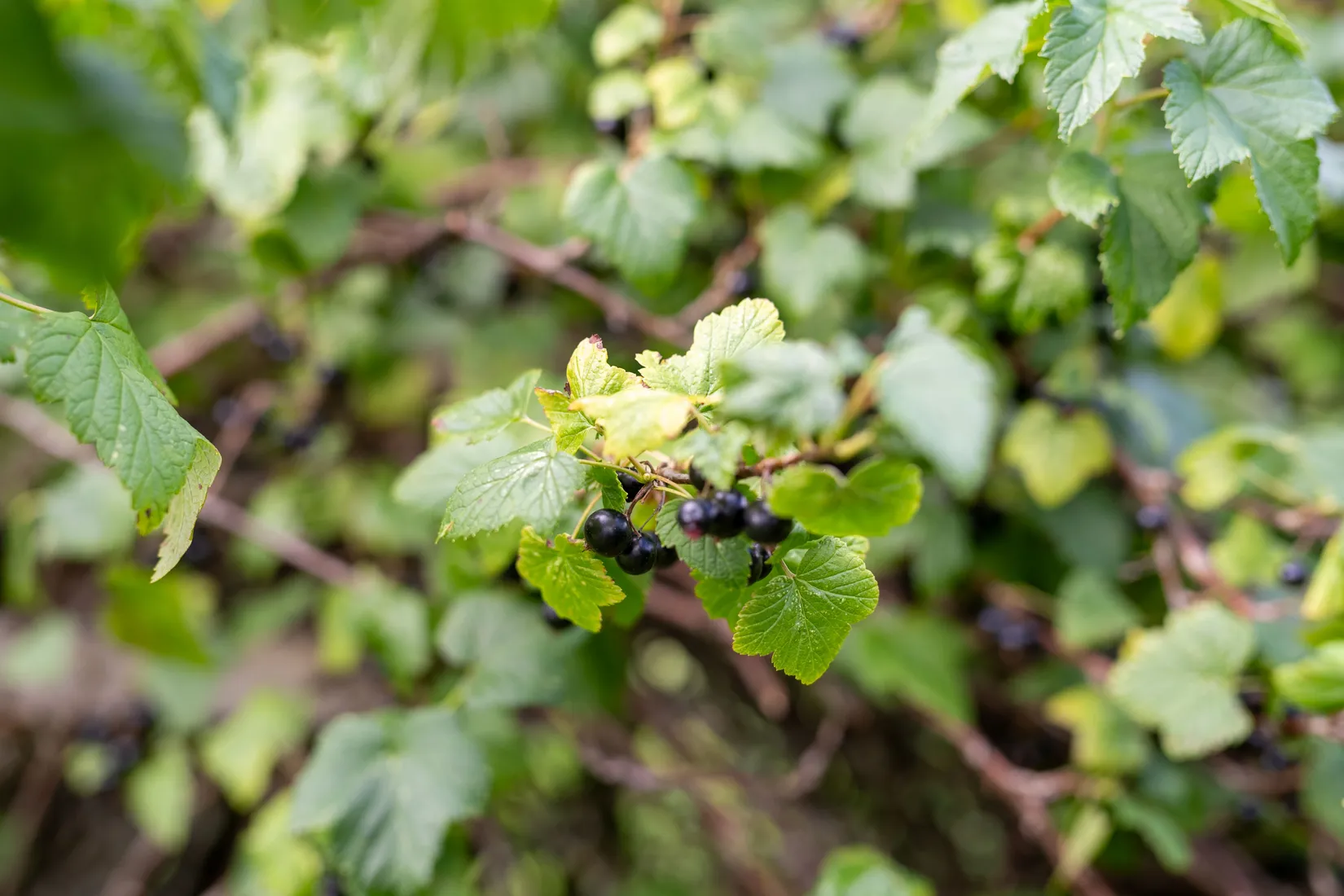Fritidshus, Kolmilevägen 5, Leken, Lekeberg