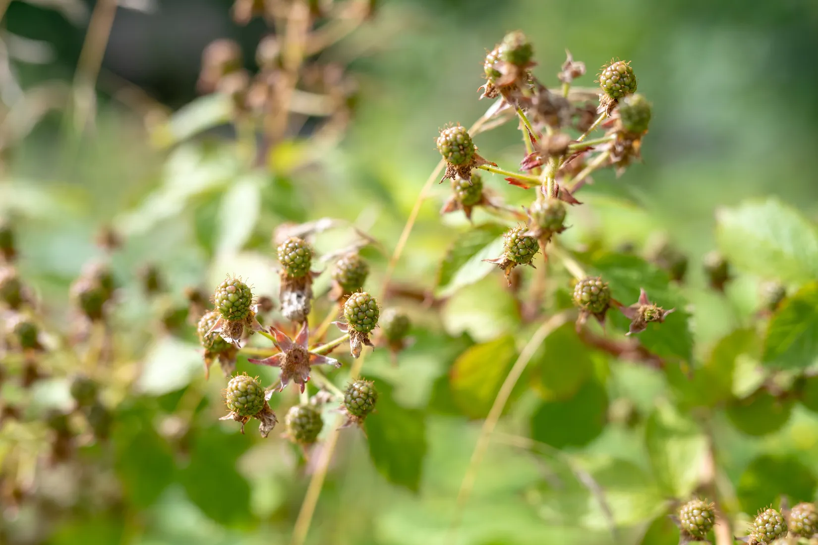 Fritidshus, Kolmilevägen 5, Leken, Lekeberg