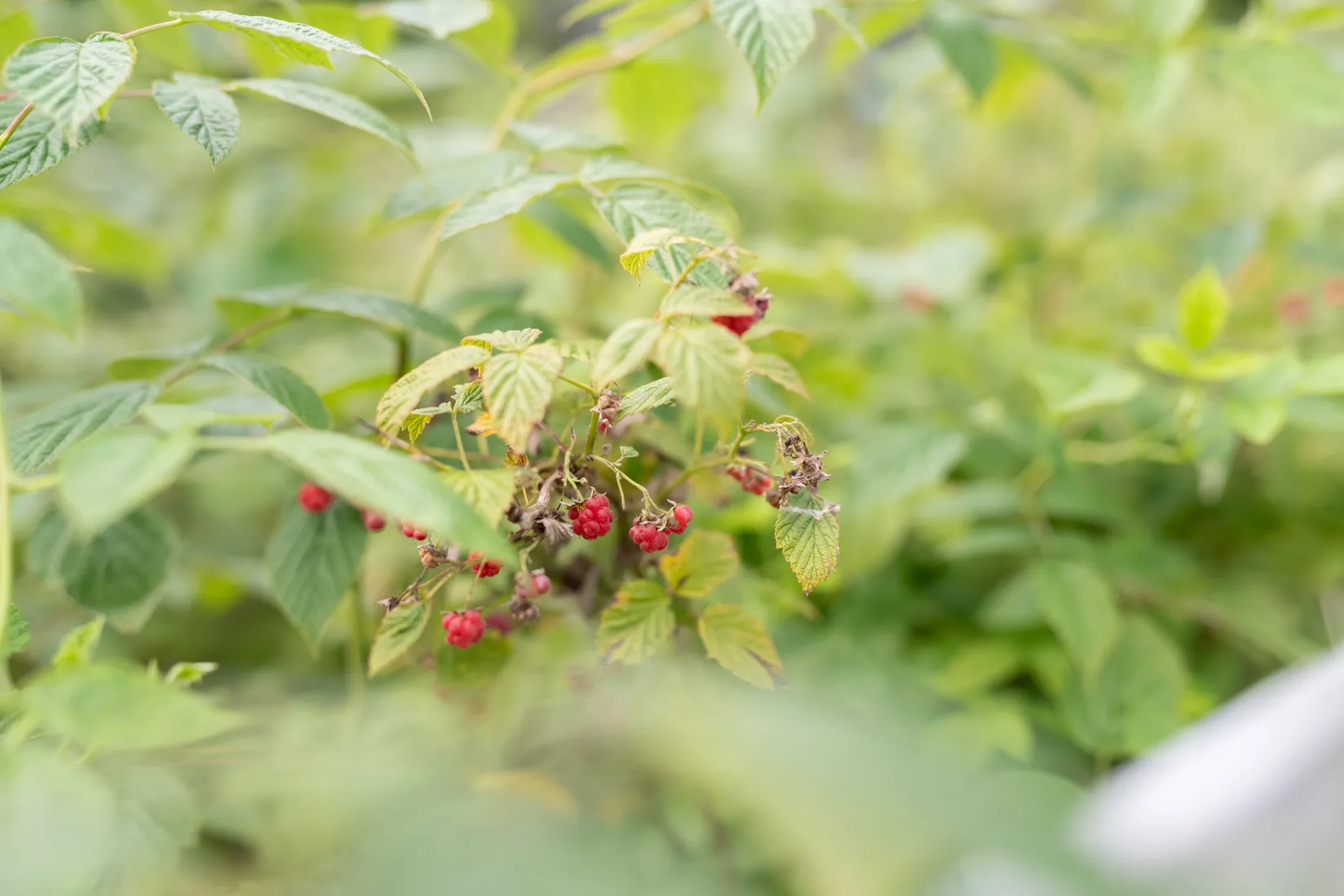 Fritidshus, Kolmilevägen 5, Leken, Lekeberg