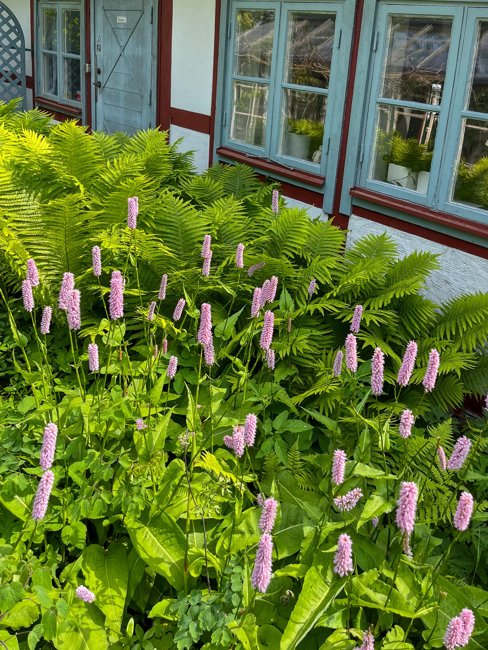 Villa, Josef Castells väg 4, Degeberga, Kristianstad