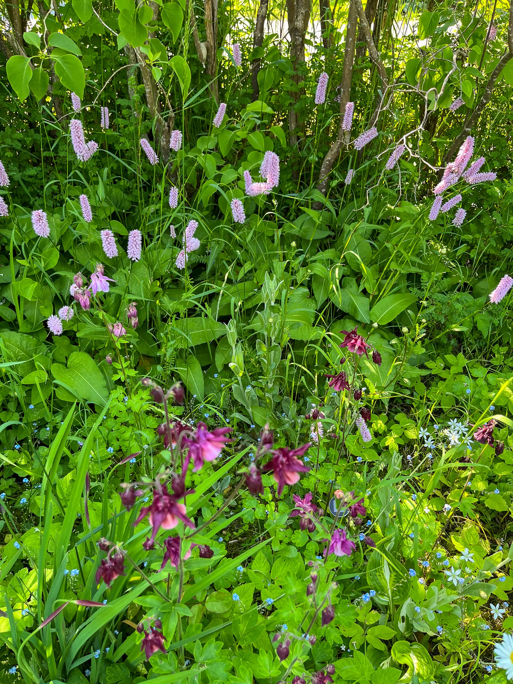 Villa, Josef Castells väg 4, Degeberga, Kristianstad