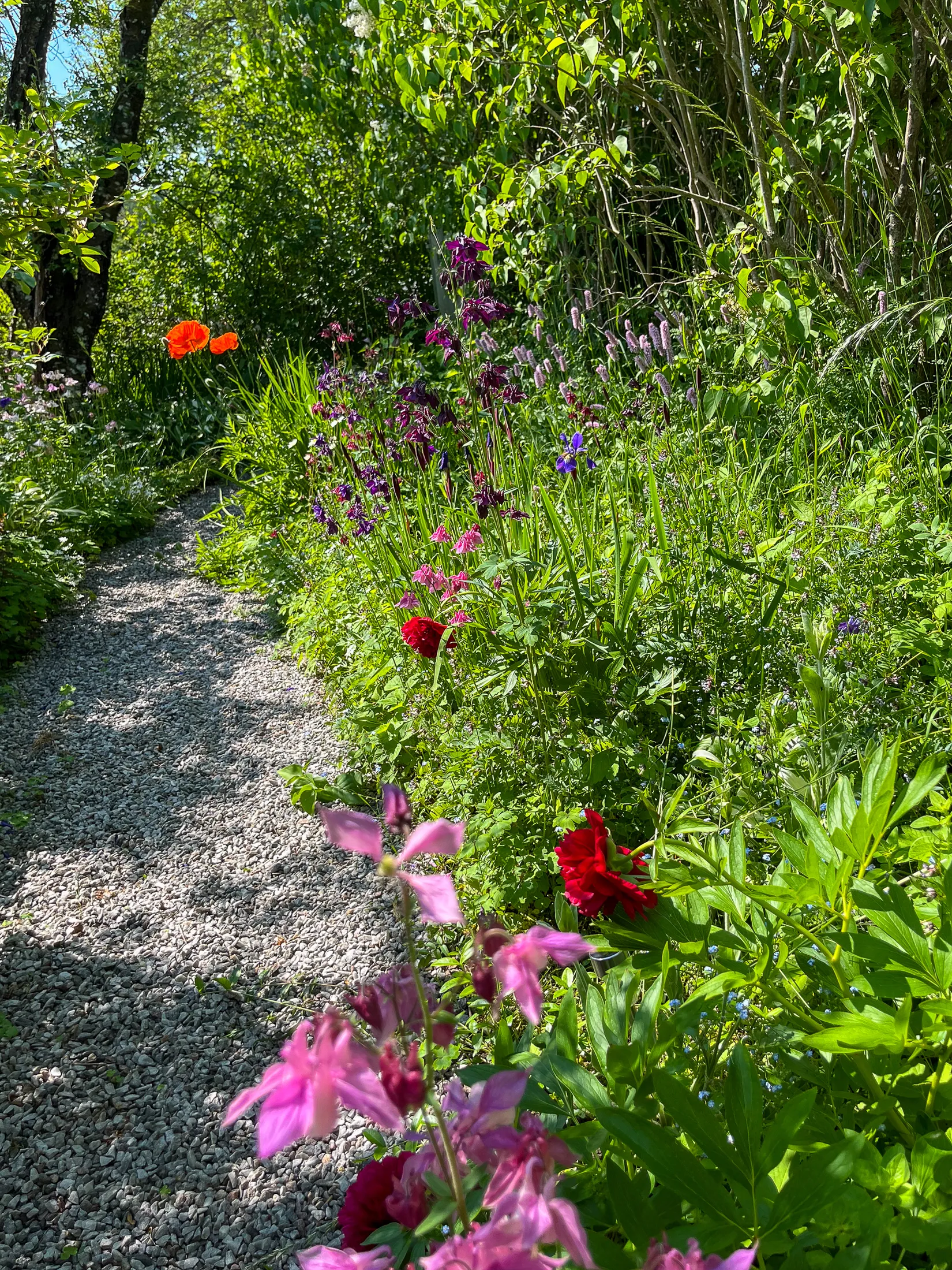 Villa, Josef Castells väg 4, Degeberga, Kristianstad