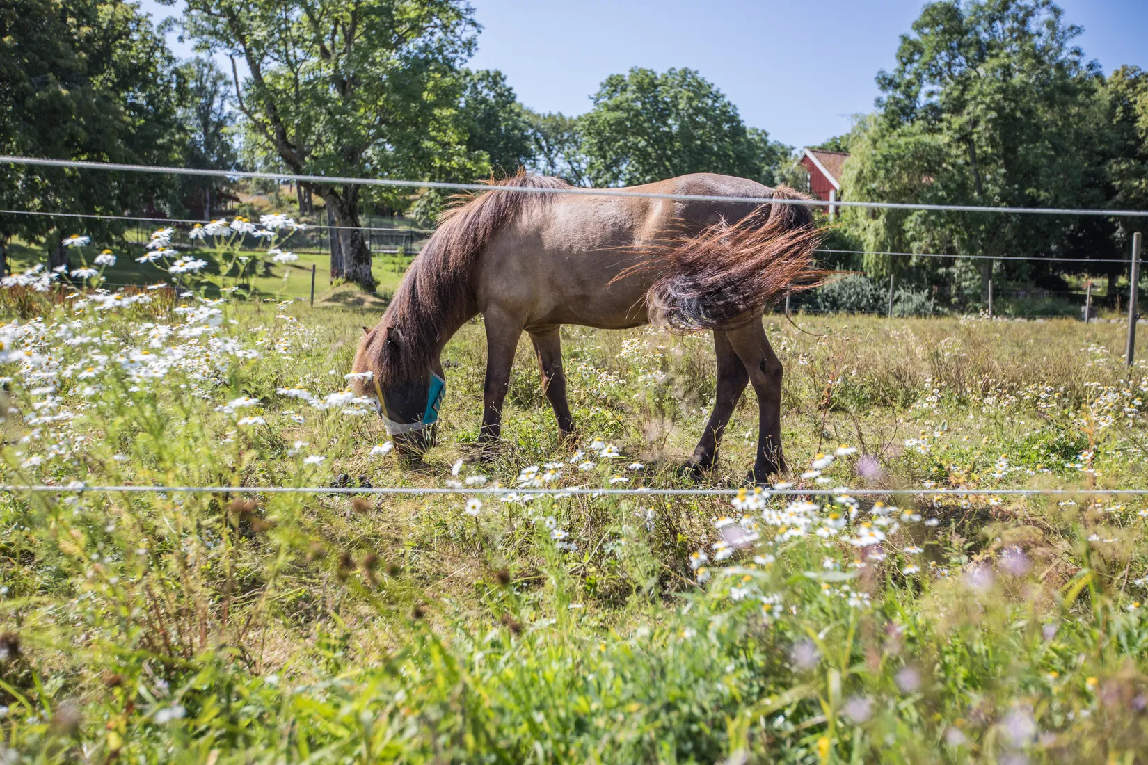 Fritidshus, Kristiansborg 390, Lycke/Tofta, Kungälv