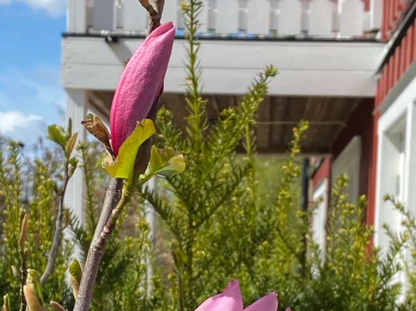 Villa, Kompassbacken 12, Spånga - Sundby, Stockholm