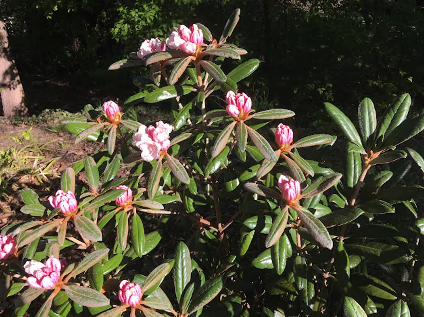 Villa, Kompassbacken 12, Spånga - Sundby, Stockholm