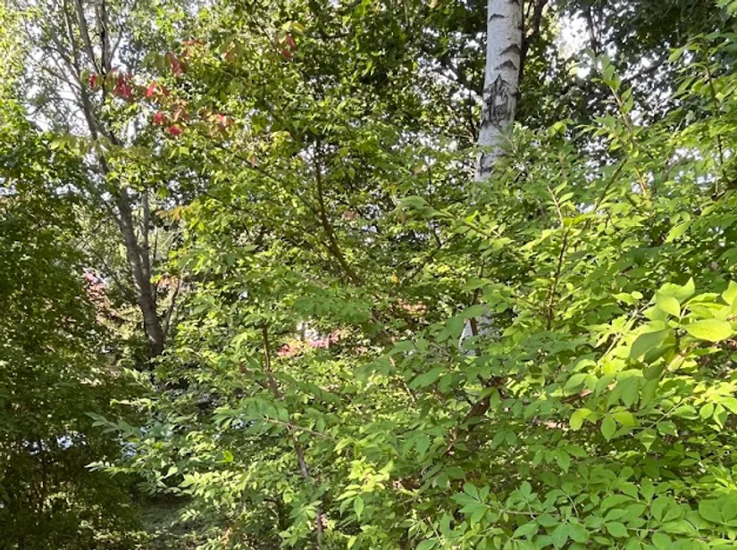 Villa, Kompassbacken 12, Spånga - Sundby, Stockholm