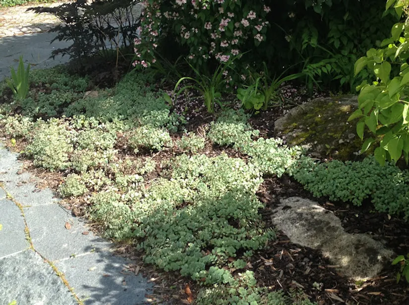 Villa, Kompassbacken 12, Spånga - Sundby, Stockholm