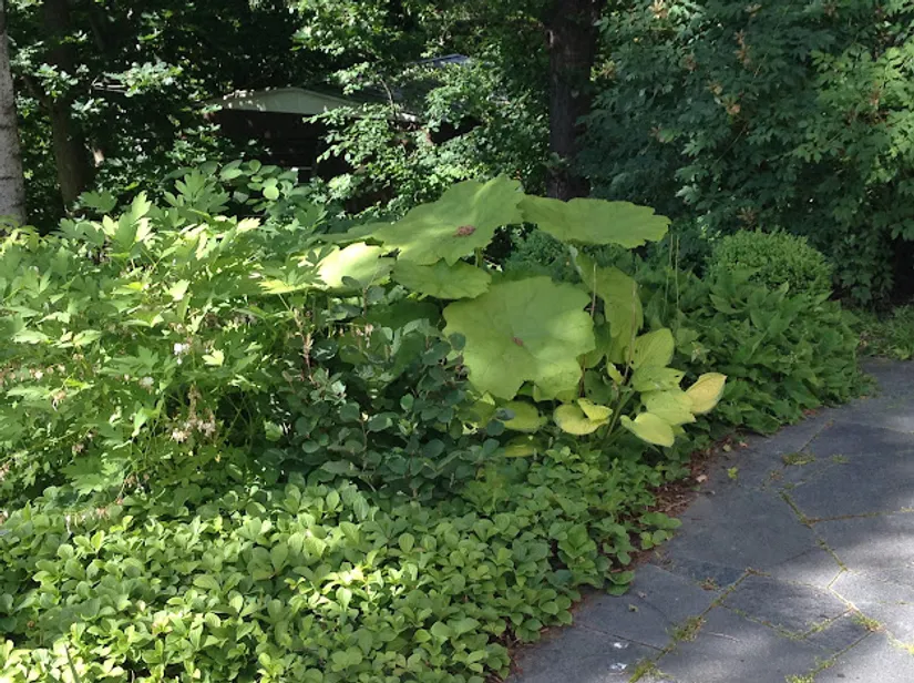 Villa, Kompassbacken 12, Spånga - Sundby, Stockholm