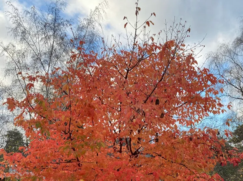 Villa, Kompassbacken 12, Spånga - Sundby, Stockholm