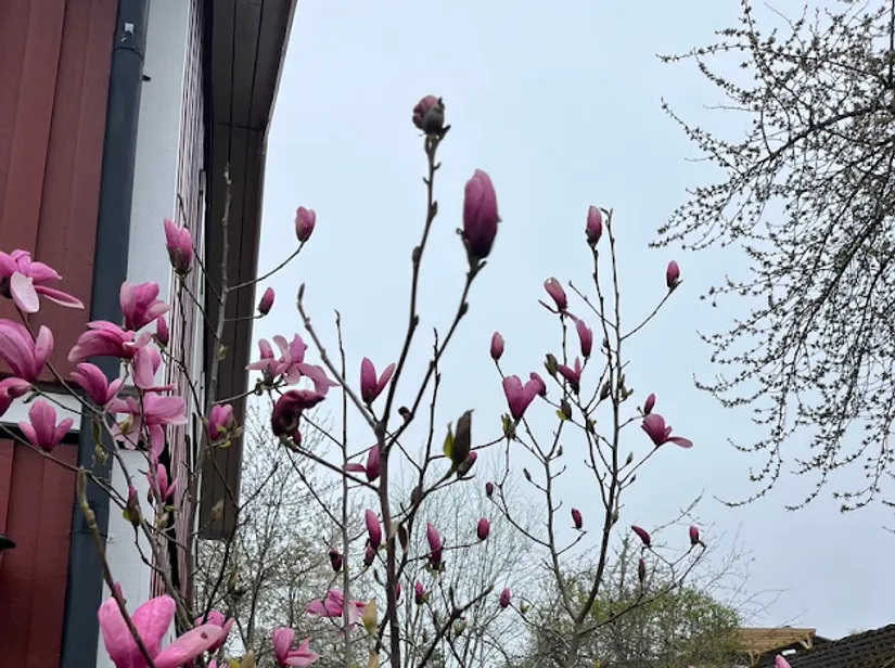 Villa, Kompassbacken 12, Spånga - Sundby, Stockholm