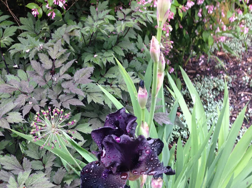 Villa, Kompassbacken 12, Spånga - Sundby, Stockholm