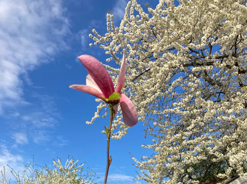 Villa, Kompassbacken 12, Spånga - Sundby, Stockholm