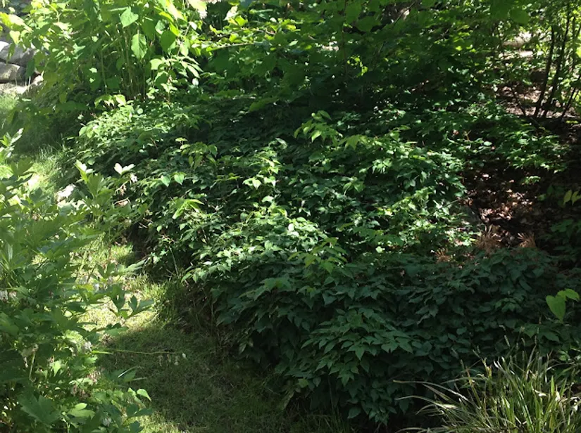 Villa, Kompassbacken 12, Spånga - Sundby, Stockholm