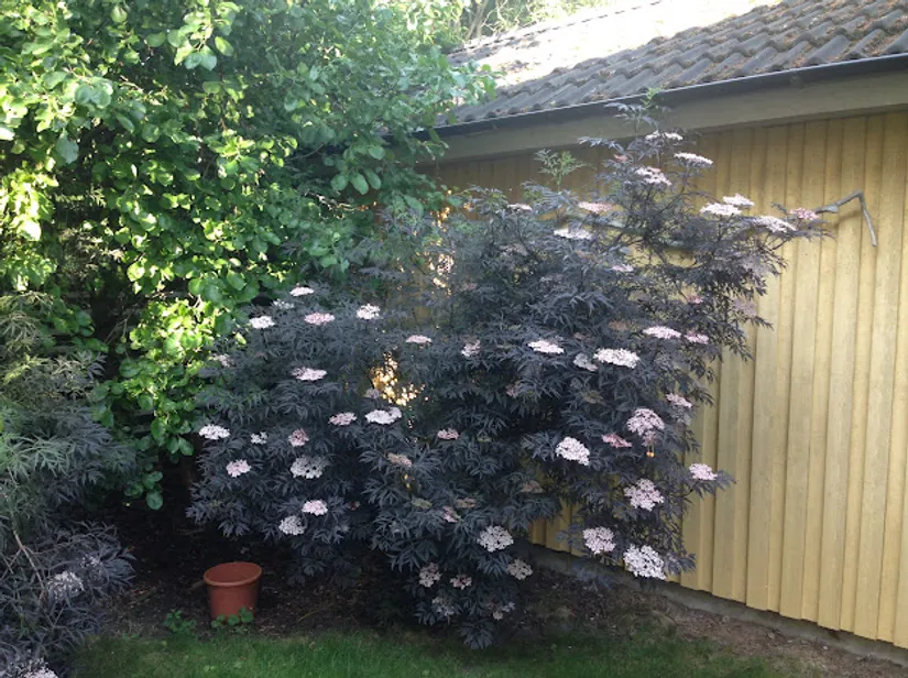 Villa, Kompassbacken 12, Spånga - Sundby, Stockholm