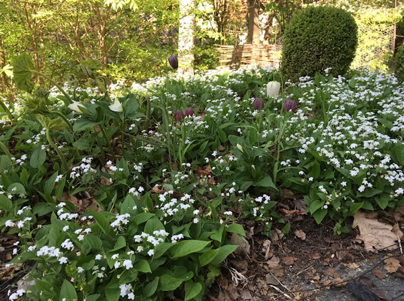 Villa, Kompassbacken 12, Spånga - Sundby, Stockholm