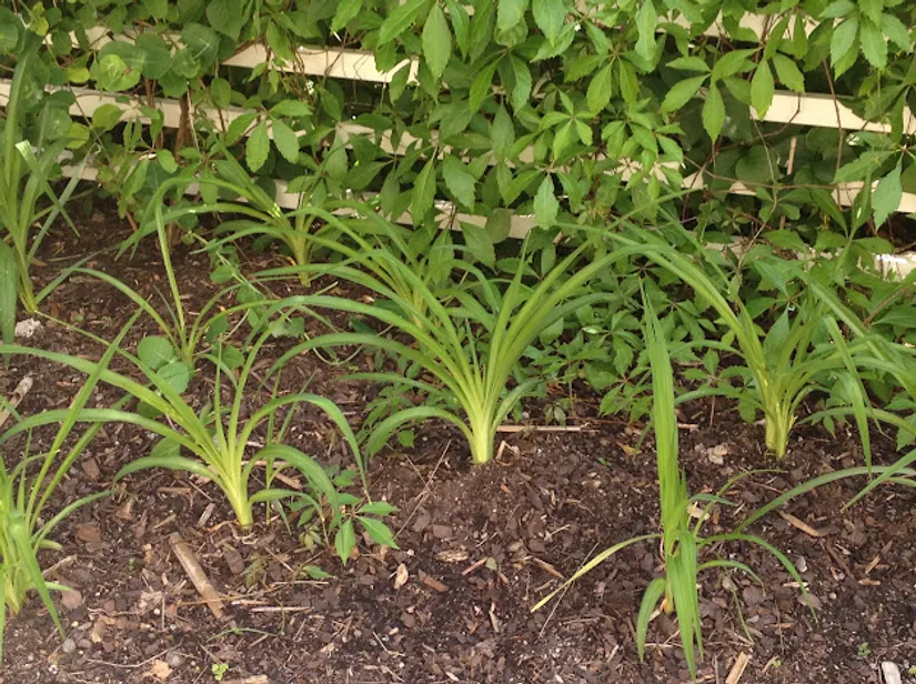 Villa, Kompassbacken 12, Spånga - Sundby, Stockholm