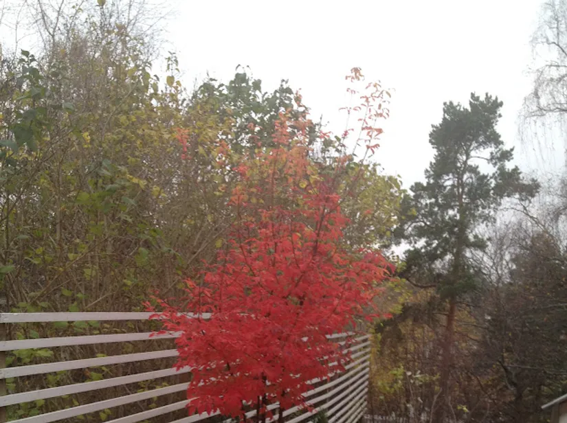 Villa, Kompassbacken 12, Spånga - Sundby, Stockholm