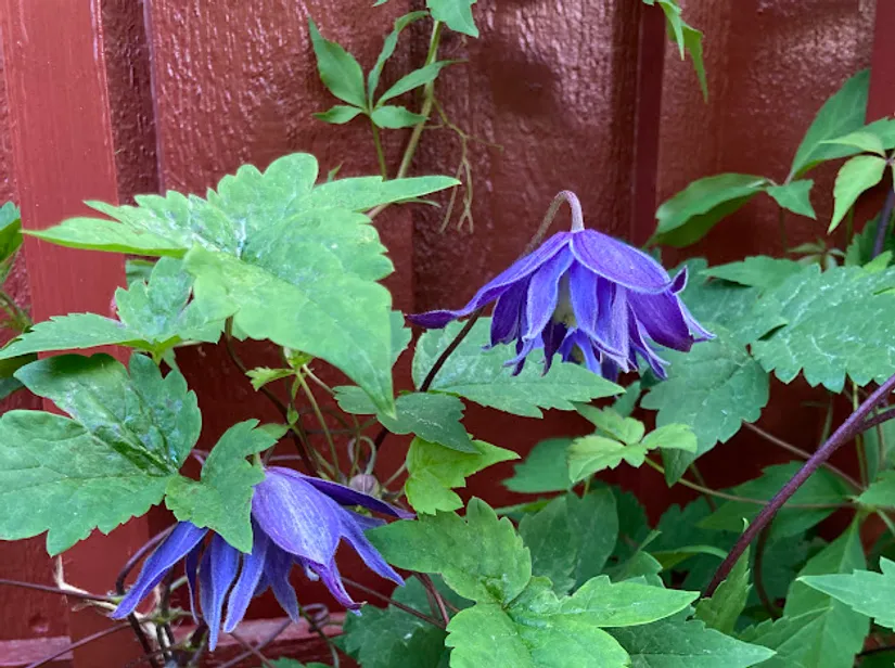 Villa, Kompassbacken 12, Spånga - Sundby, Stockholm