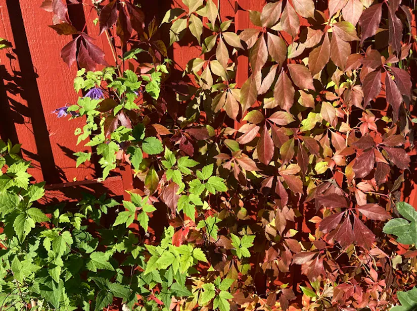 Villa, Kompassbacken 12, Spånga - Sundby, Stockholm