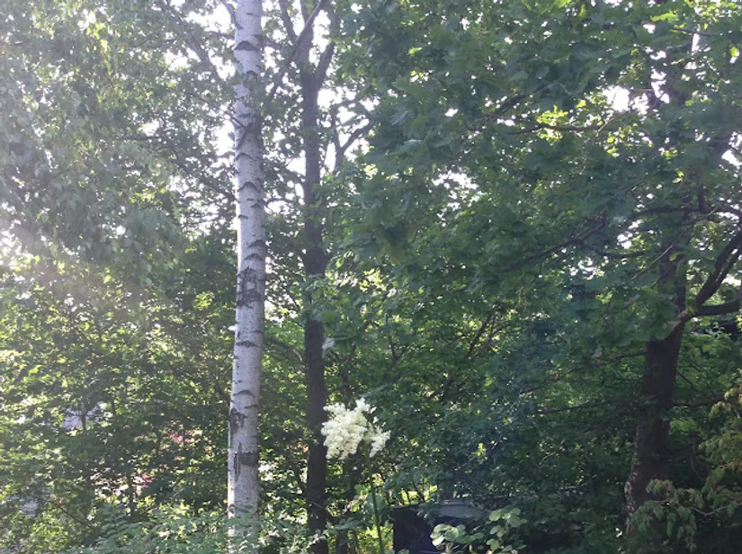 Villa, Kompassbacken 12, Spånga - Sundby, Stockholm