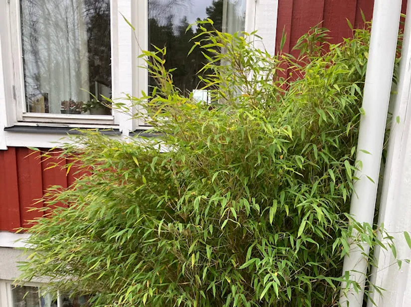 Villa, Kompassbacken 12, Spånga - Sundby, Stockholm