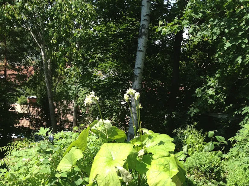 Villa, Kompassbacken 12, Spånga - Sundby, Stockholm