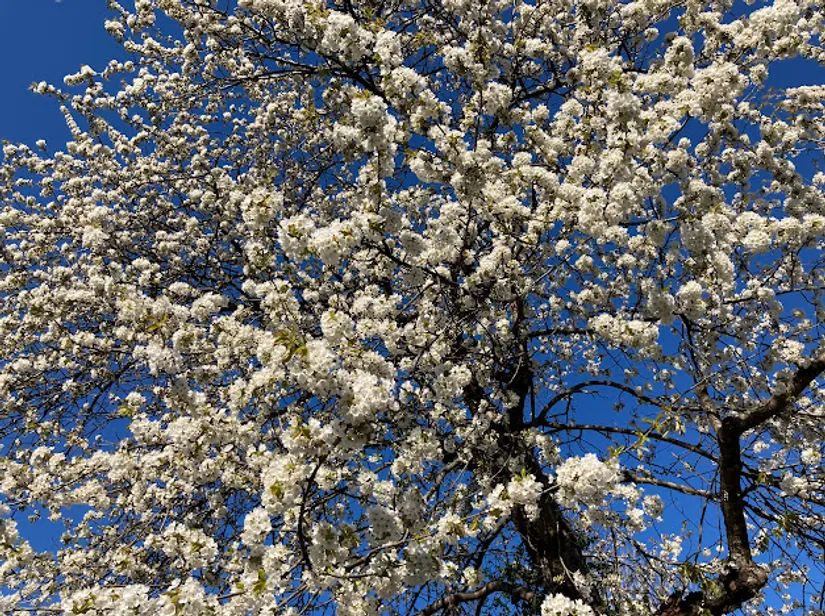 Villa, Kompassbacken 12, Spånga - Sundby, Stockholm