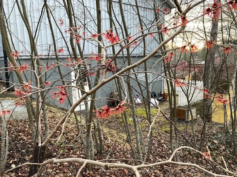 Villa, Kompassbacken 12, Spånga - Sundby, Stockholm