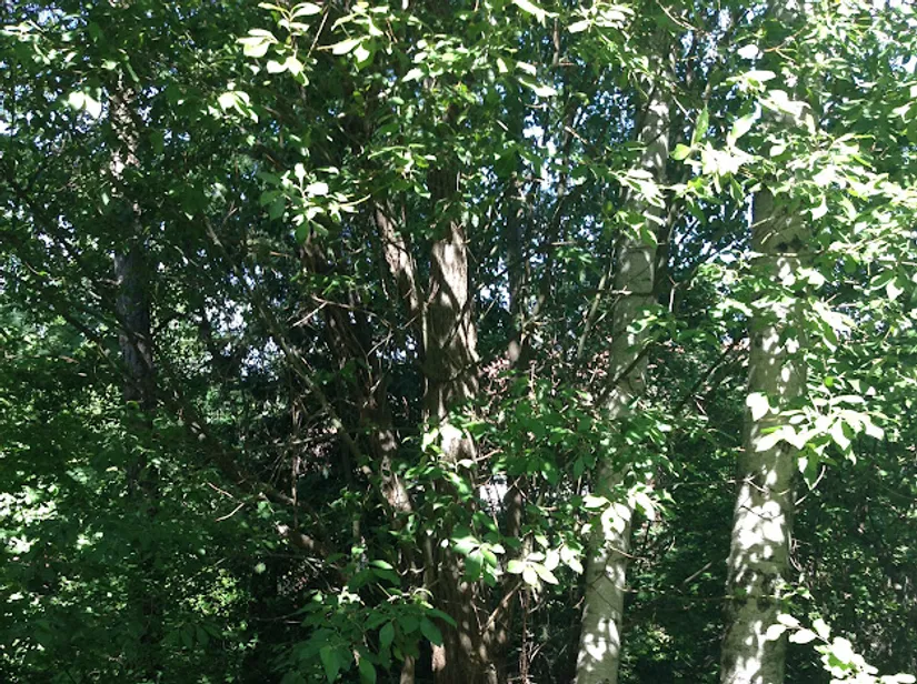 Villa, Kompassbacken 12, Spånga - Sundby, Stockholm