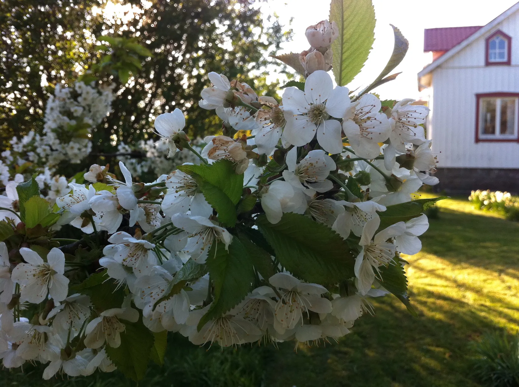 Villa, Spannarp 136, Spannarp, Varberg