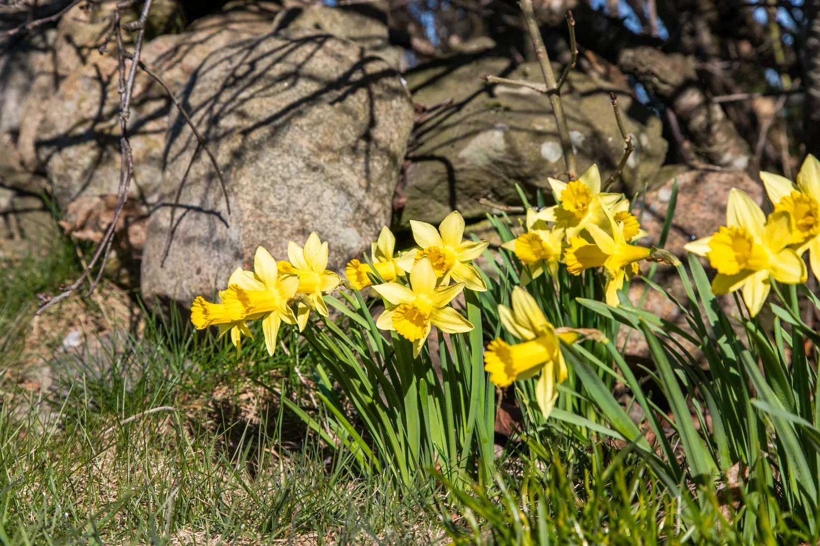 Villa, Spannarp 136, Spannarp, Varberg