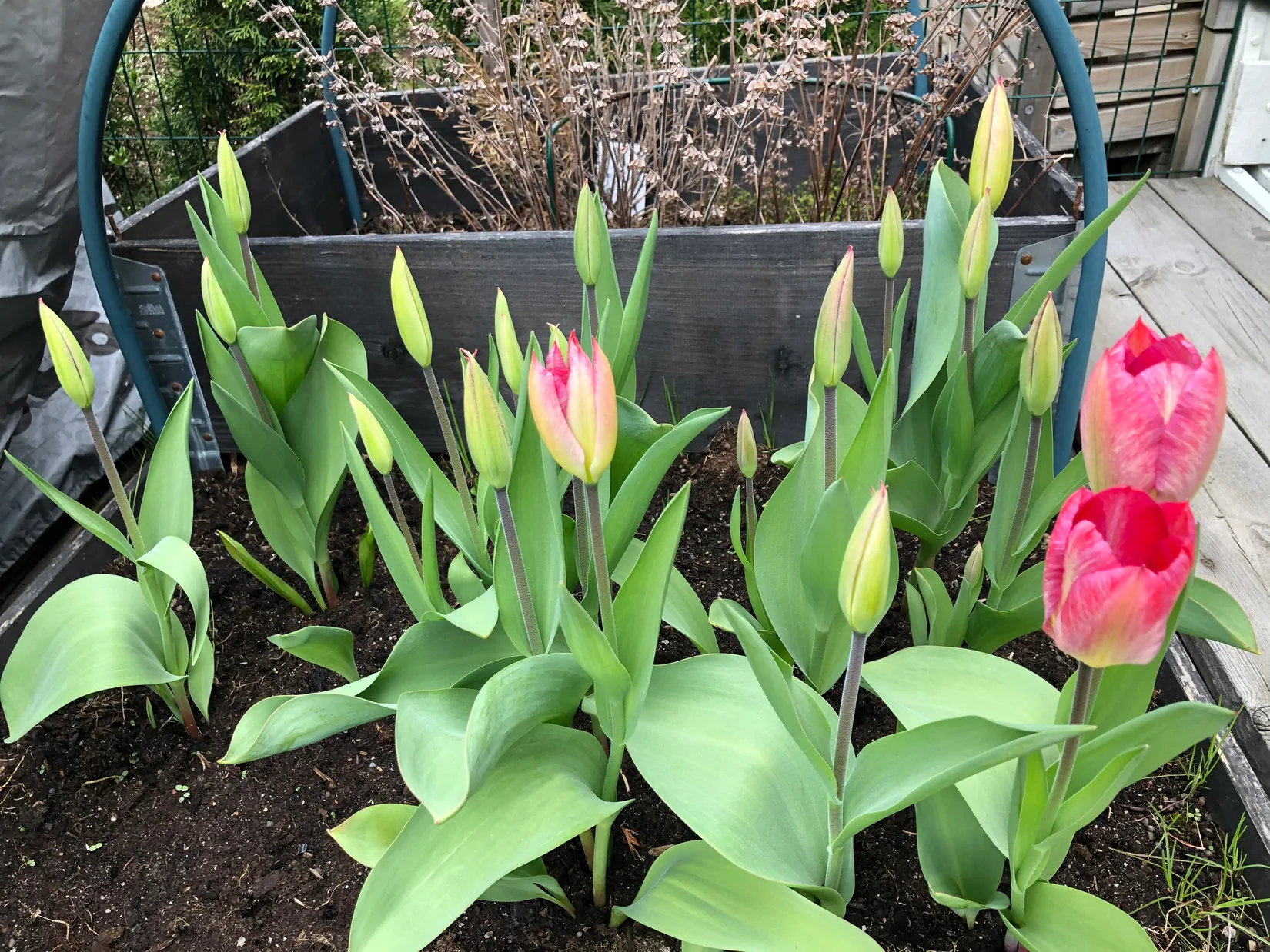 Bostadsrätt, Radhus, Ekuddsvägen 32C, Ekebyhov, Ekerö