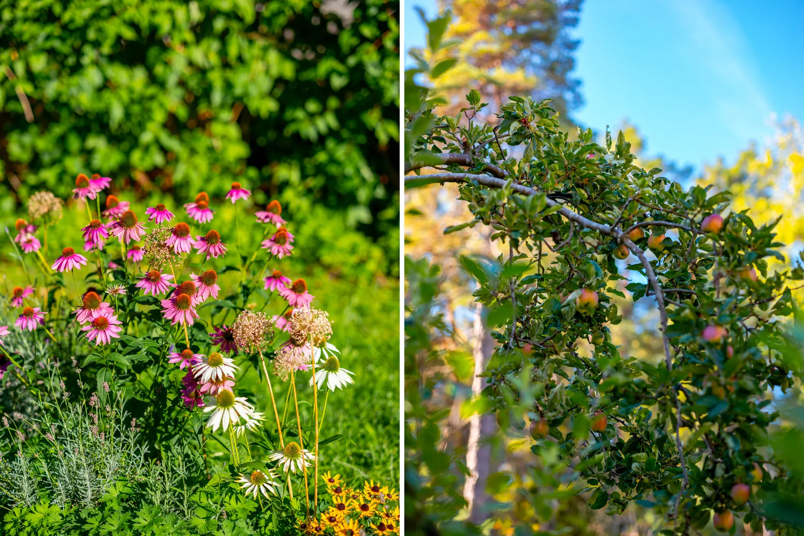 Bostadsrätt, Bredablicksvägen 5A, Hersby, Lidingö