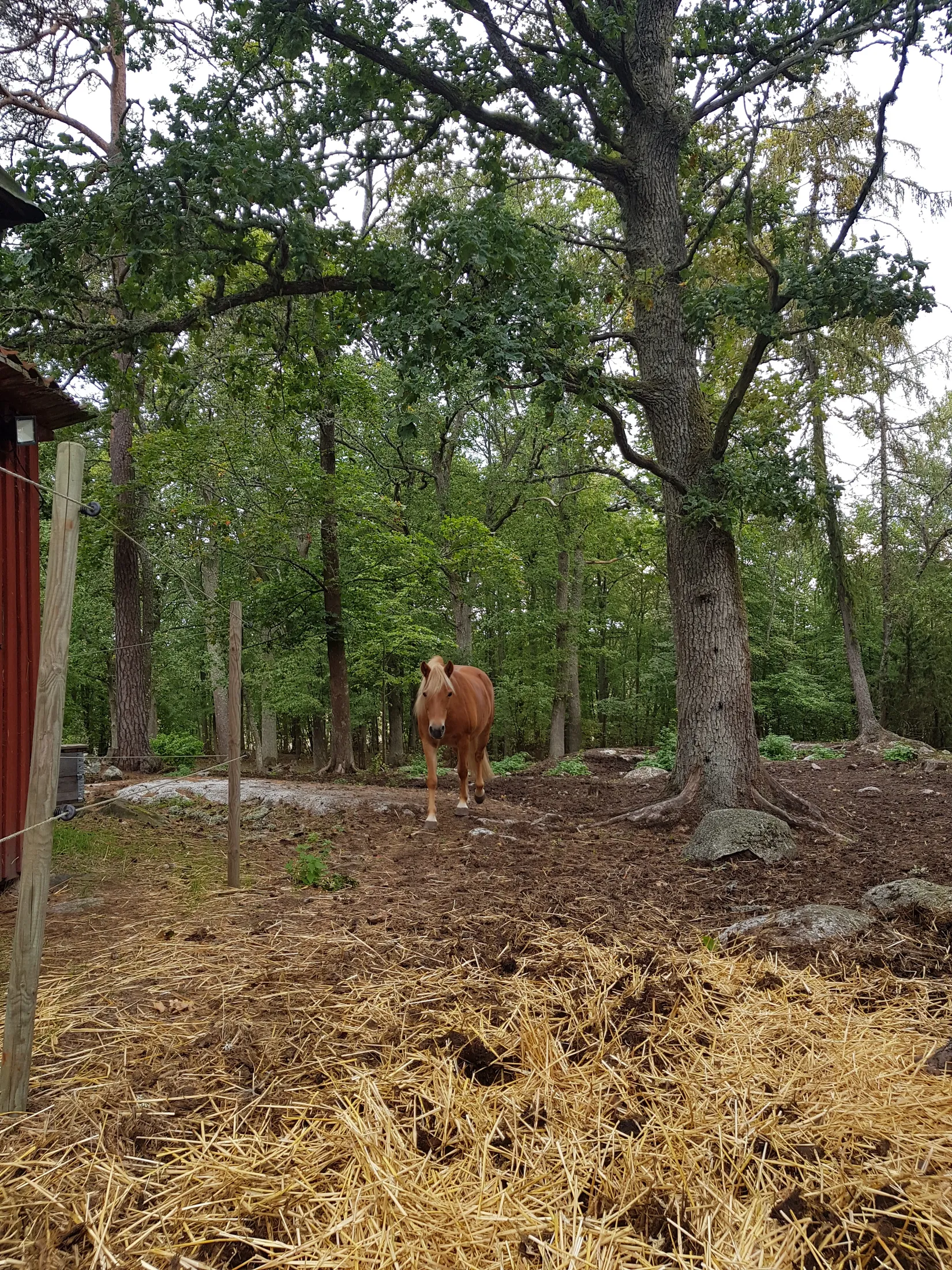 Villa, Nykyrka Torpstugan 1, Lantligt, Nyköping