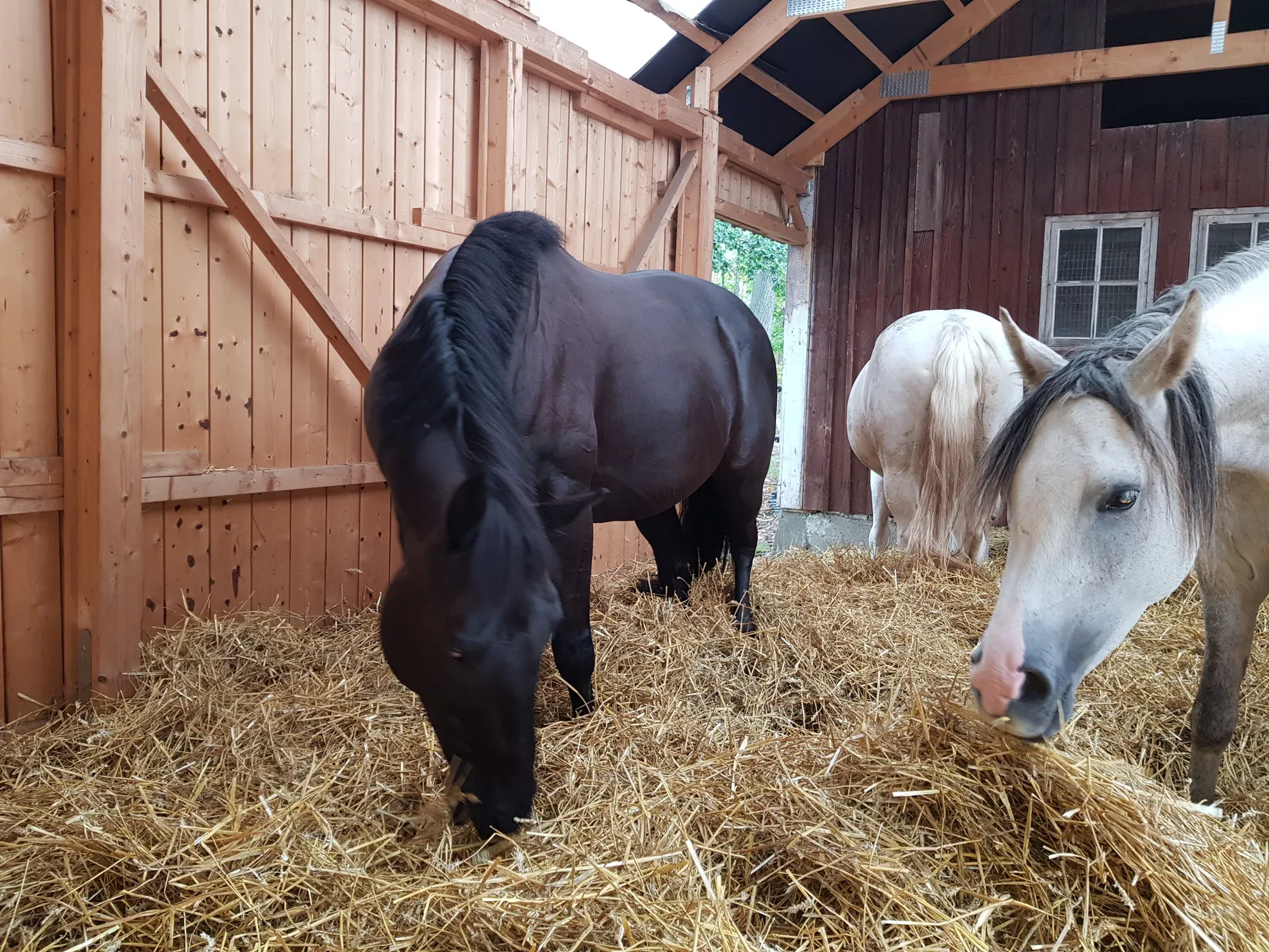 Villa, Nykyrka Torpstugan 1, Lantligt, Nyköping