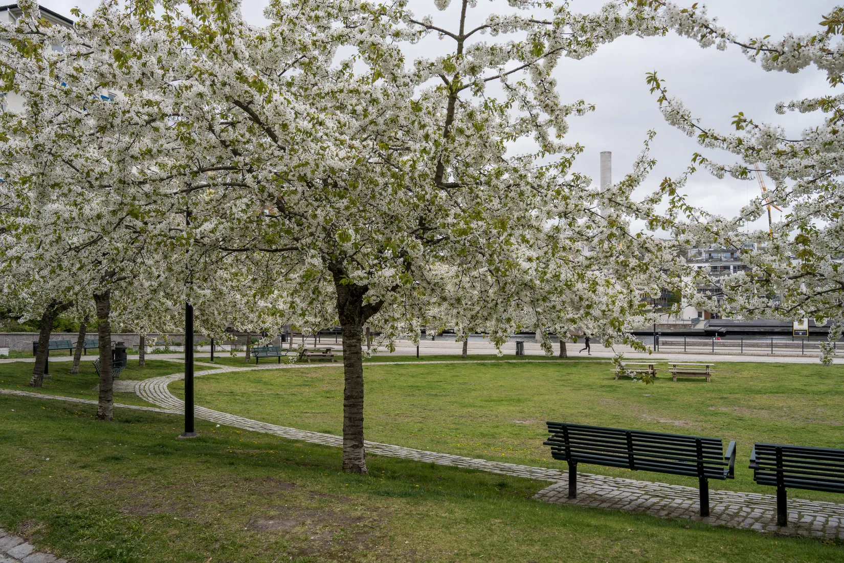 Bostadsrätt, Tegelviksgatan 55, Stockholm