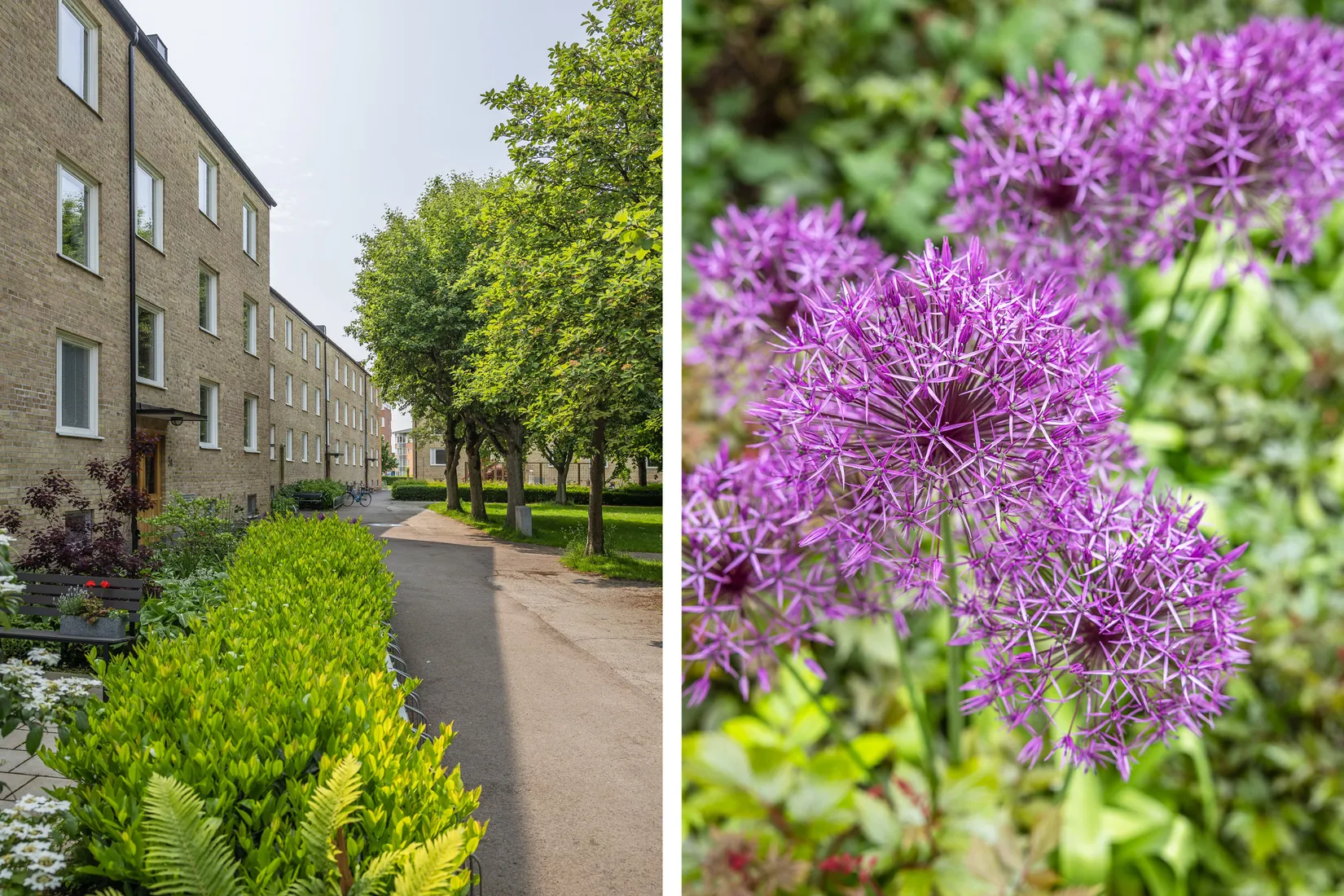 Bostadsrätt, Sofiaparken 3D, Sofiaparken, Lund