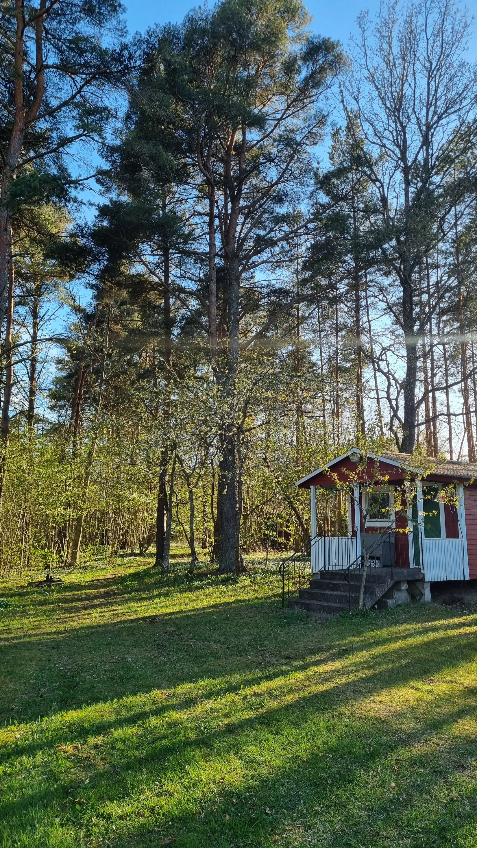Övrigt, Garde Guffride 322, Garda - Södra Gotland, Gotland
