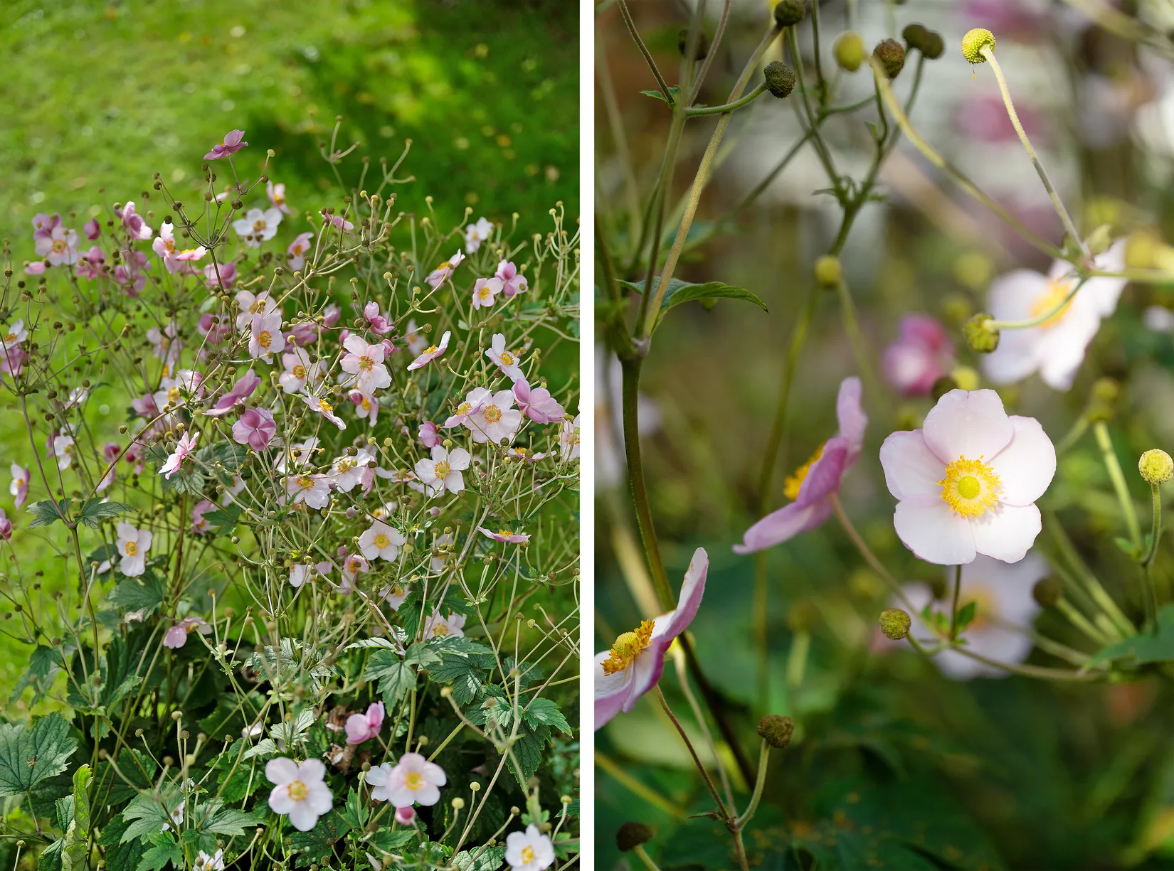 Radhus, Östergökssvängen 31, Spånga Nälsta, Stockholm