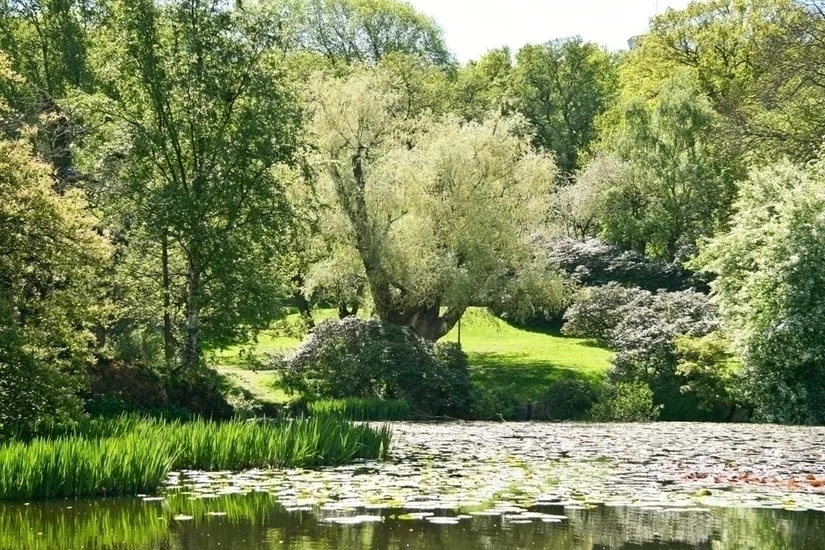 Bostadsrätt, Eklandagatan 12, Lorensberg, Göteborg