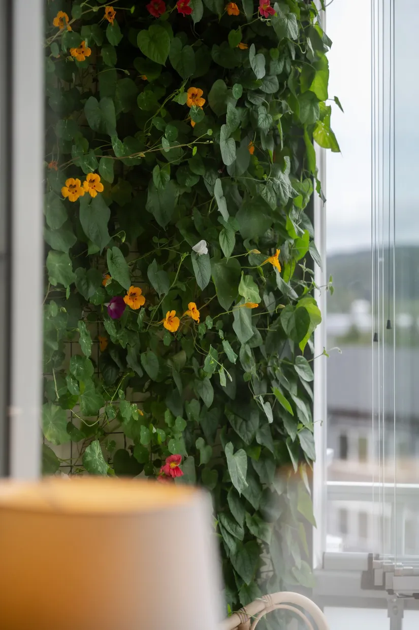 Bostadsrätt, Källbogatan 5, Sjöbo, Borås