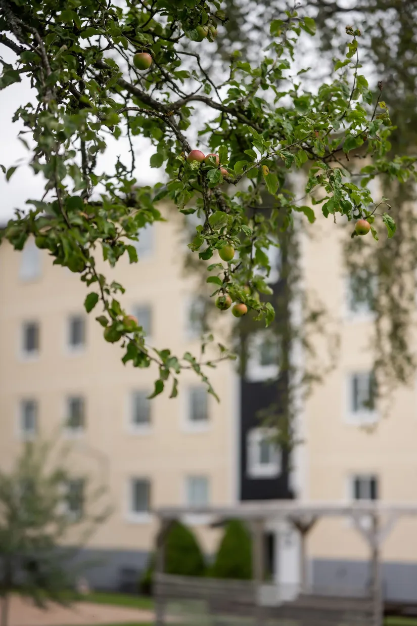 Bostadsrätt, Källbogatan 5, Sjöbo, Borås