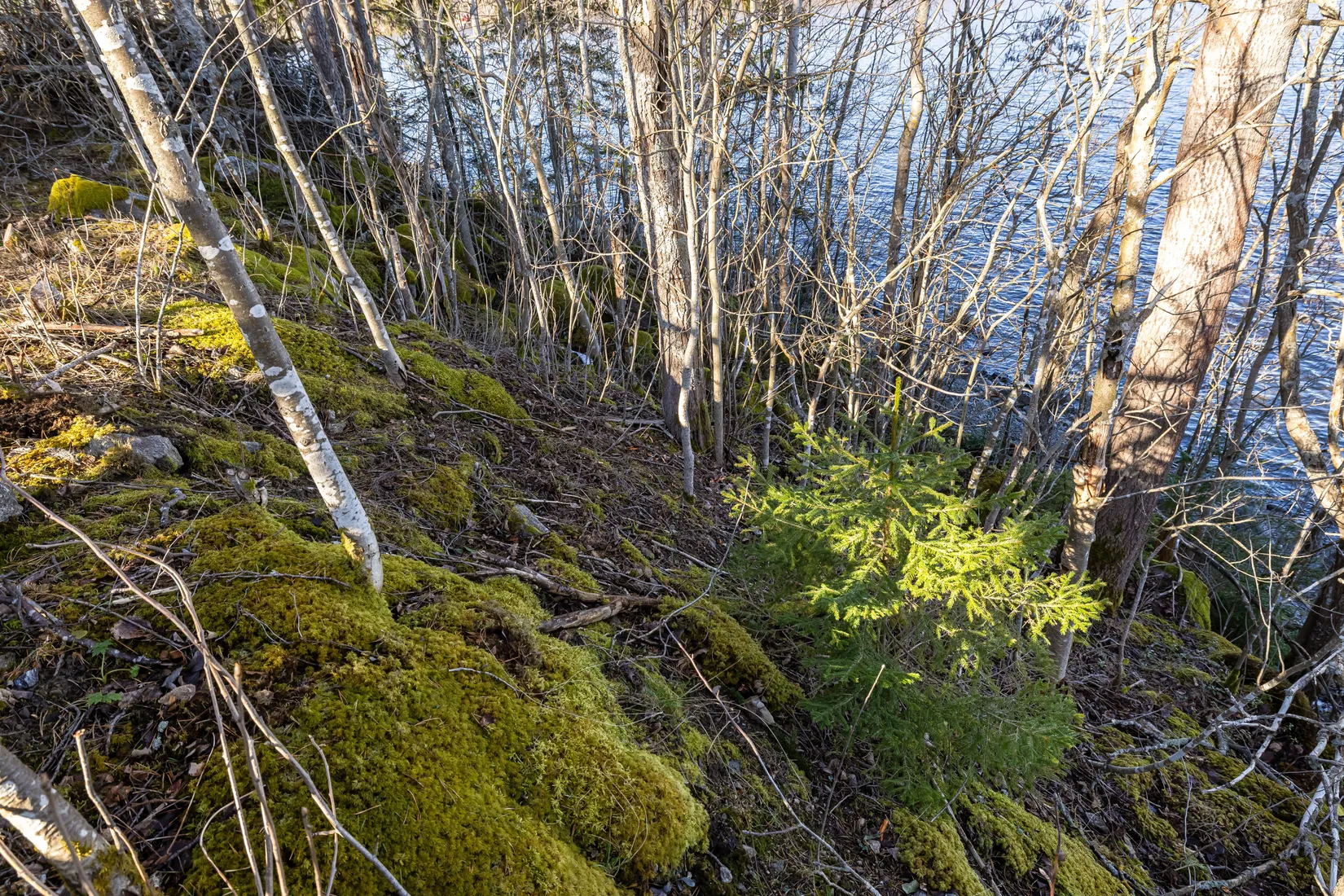 Tomt, Essviksvägen, Sundsvall