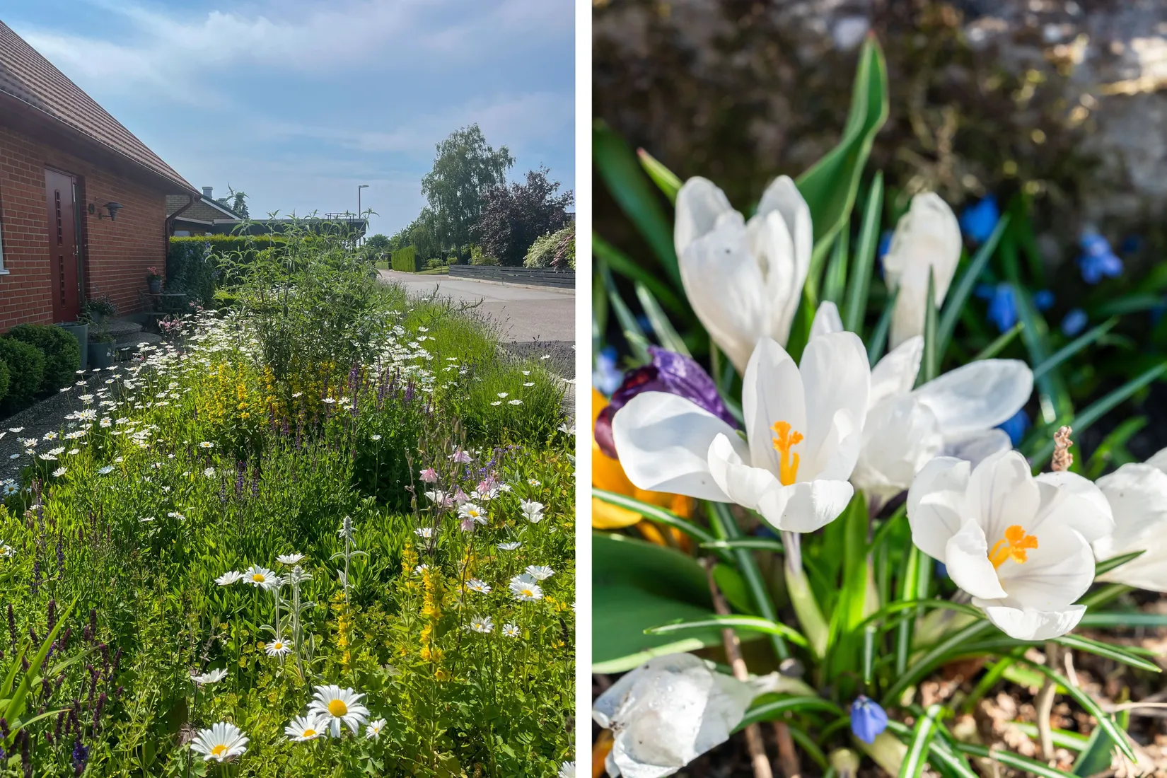 Villa, Stationsgatan 49, Rinnebäck, Kävlinge