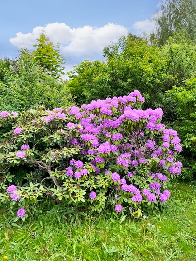 Villa, Kalendervägen 2, Västra Jakobsberg, Järfälla